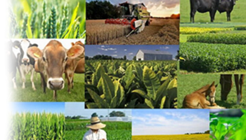 شاخص قيمت توليدكننده زراعت، باغداری و دامداری سنتی- اردیبهشت ماه ۱۴۰۴ (بر مبنای سال پایه ۱۳۹۵)