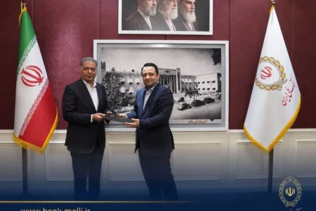 قائم مقام مدیرعامل بانک ملی ایران معرفی شد
