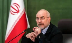 قالیباف در پی قهرمانی والیبال نوجوانان جهان: جوانان ایرانی نشان دادند هیچ میدان بزرگی برایشان دست‌نیافتنی نیست