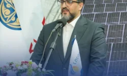 مدیرعامل گروه توسعه انرژی نفت و گاز لاوان:مگاوات متصل به شبکه برای ما مهم است، نه مگاوات روی کاغذ