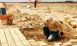 احیای ظرفیت تاریخی و گردشگری کاروانسرای کنارگرد فشافویه