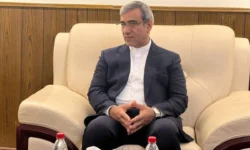 ظرفیت منطقه آزاد سرخس برای تولید خودروهای هیبریدی چینی بررسی شد