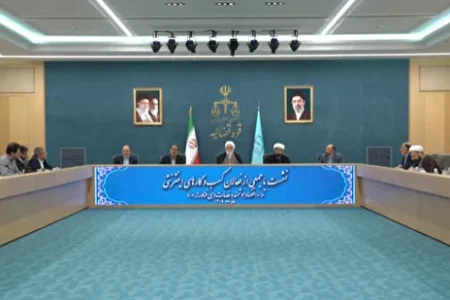 حمایت تمام‌قد قوه قضائیه از توسعه اقتصاد دیجیتال
