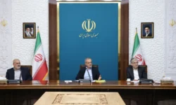 در حکمرانی انرژی باید به ظرفیتهای داخلی خودمان اتکا داشته باشیم