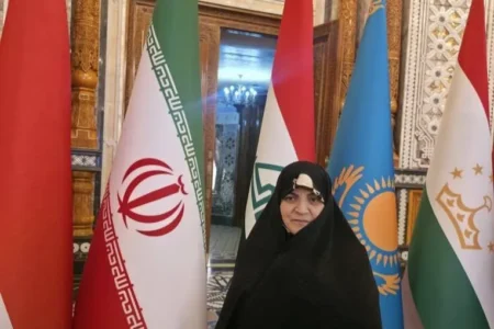 تأمین امنیت زنان در فضای مجازی نیازمند همکاری پارلمان‌های آسیایی است