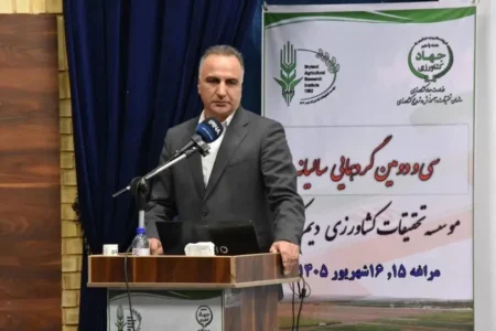 شکسته شدن رکورد تولید گندم در ایران