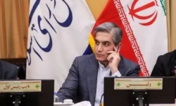 مجلس از تشکیل فدراسیون گردشگری حمایت می کند