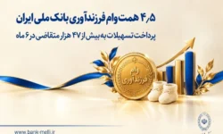 پرداخت تسهیلات به بیش از ۴۷ هزار متقاضی در ۶ ماه