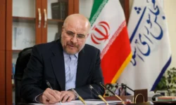 تداوم قهرمانی‌های کشتی ایران، روایت ملتی است که قهرمان می‌پرورد