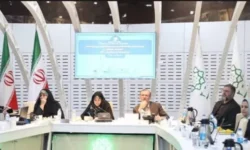 لزوم بازمهندسی ترافیکی و مناسب سازی معابر منتهی به مراکز درمانی