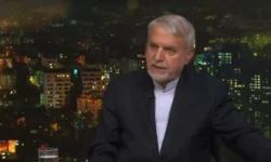 صالحی امیری: ۳۰۰ گونه از ۴۰۰ گونه صنایع دستی جهان در ایران تولید می‌شود/ تمرکز بر توسعه بازار جهانی